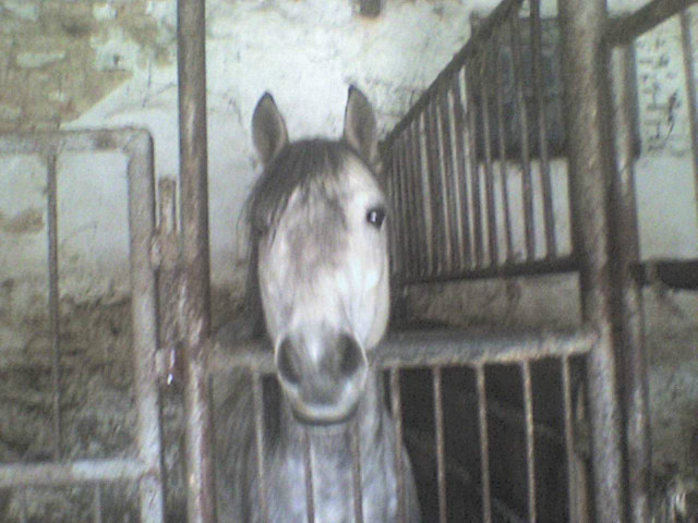 oniec mojego fbl .