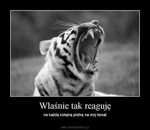 Wpis mojemalekolorowezycie