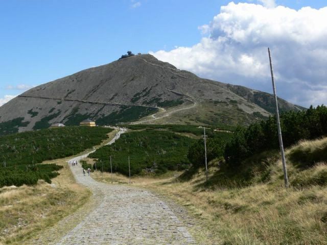 Wpis zambezii