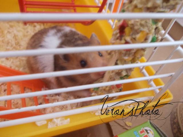 Luna < 3 