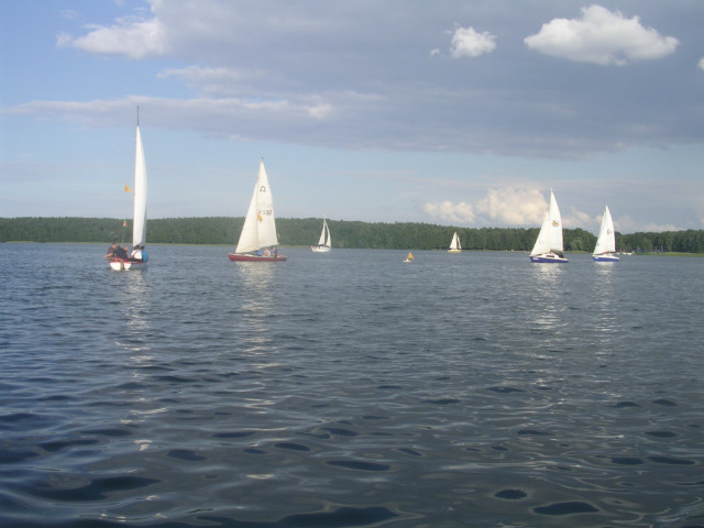 Niesysz