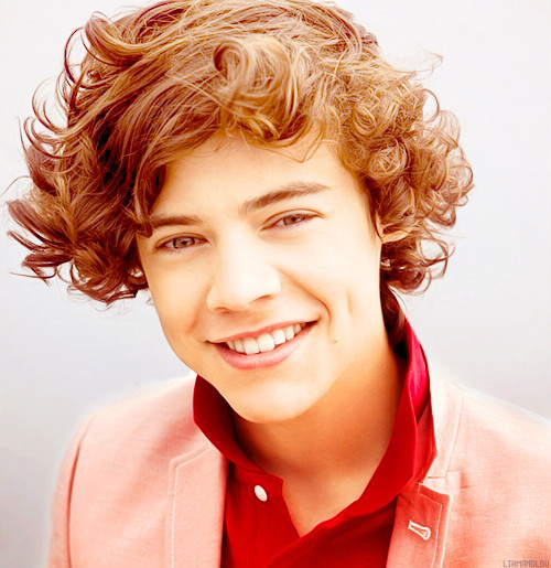 Wpis onedirection1fun