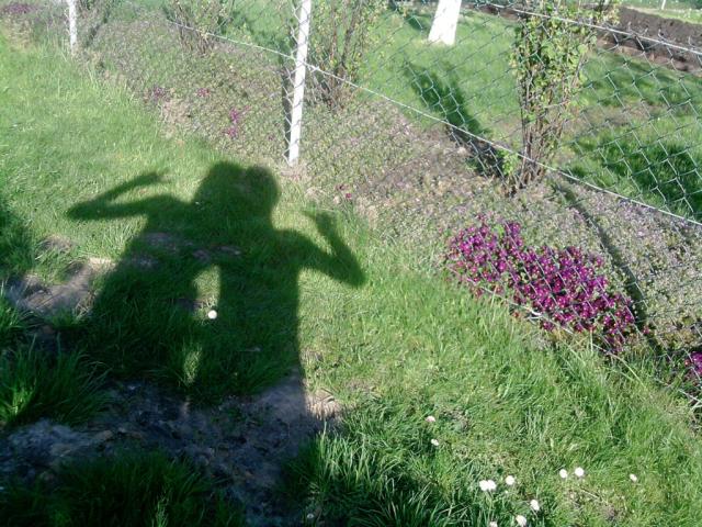 Cienie