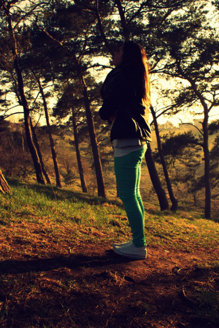 Wpis lustrzanaa
