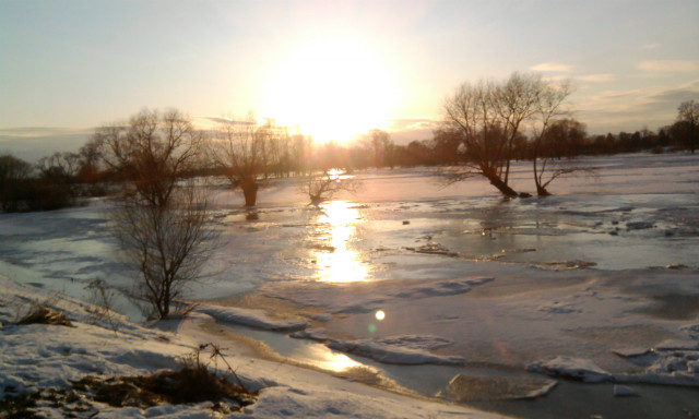 ywiec
