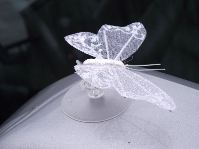 Wpis screambutterfly