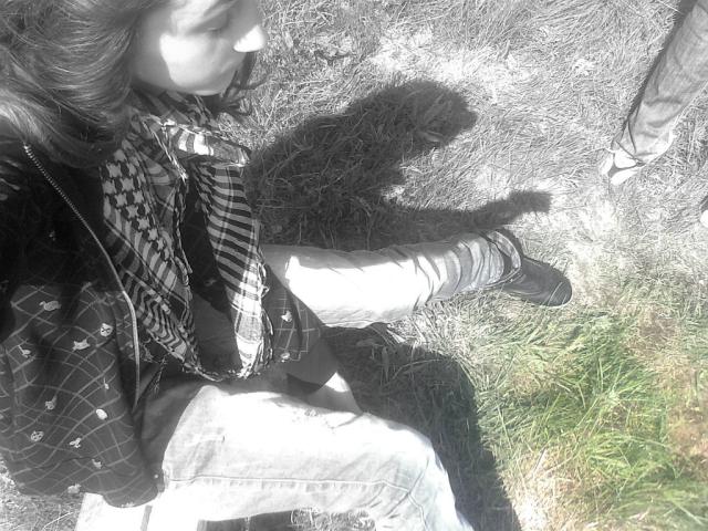 Wpis dovnn