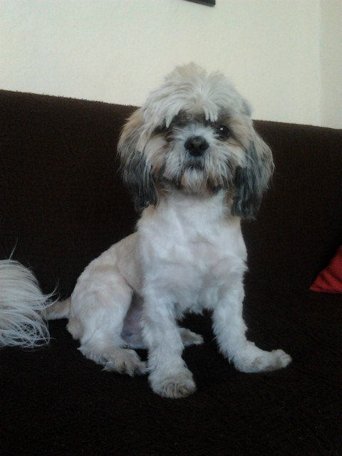 Misioo ;*