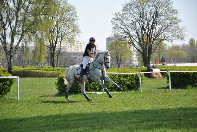 Wpis horsefly