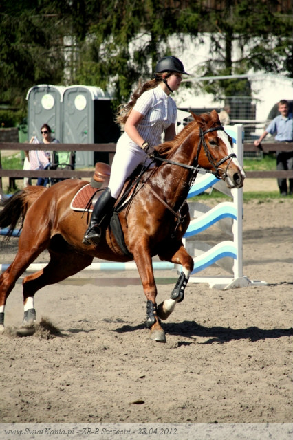 Wpis czamarka96
