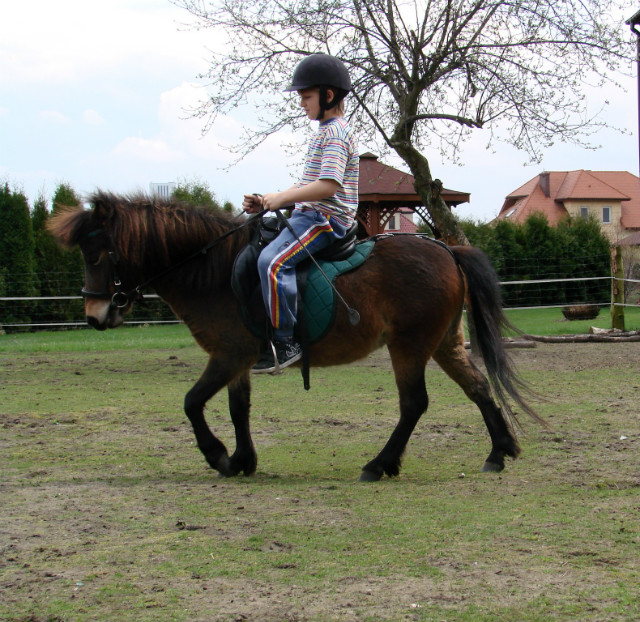Wpis xdejzix95