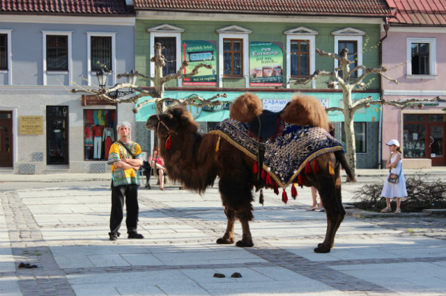 yyy...Pszczyna