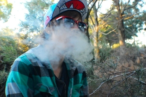 Damian