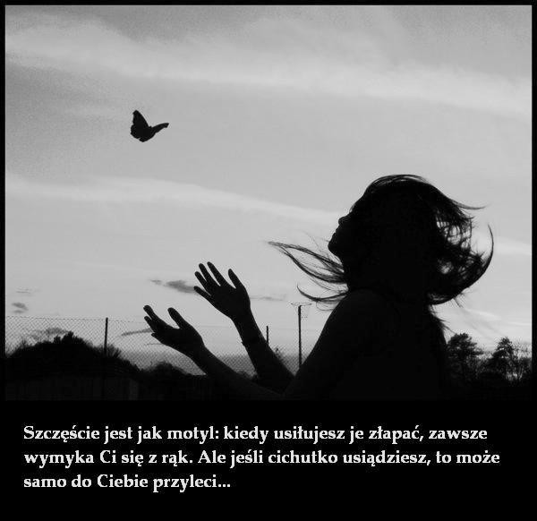 Wpis alicja123321