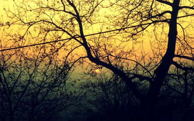 sunset