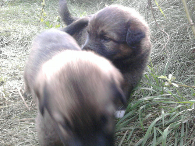 sodkieee *.*
