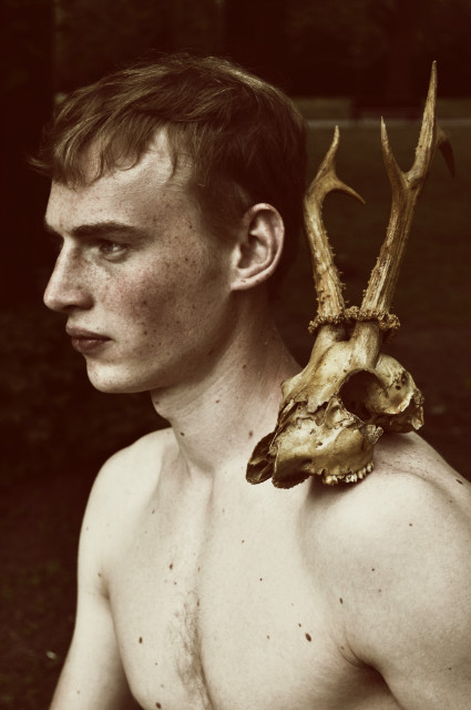 The Deer Hunter