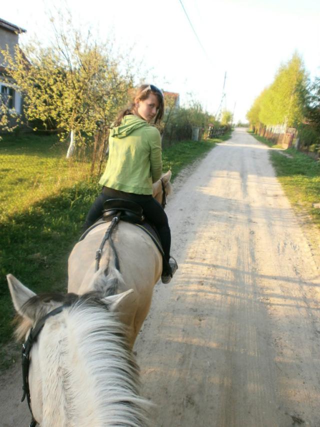 Wpis foresthorse