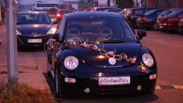 Wpis newbeetle