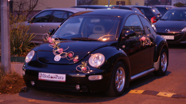 Wpis newbeetle