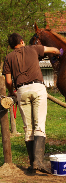 Wpis villagepeoplewithhorse