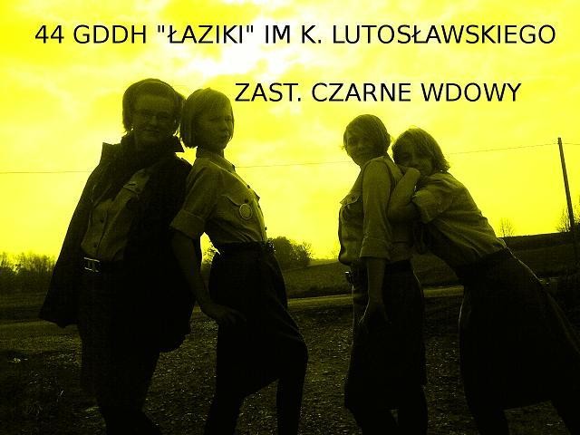 Czarne Wdowy