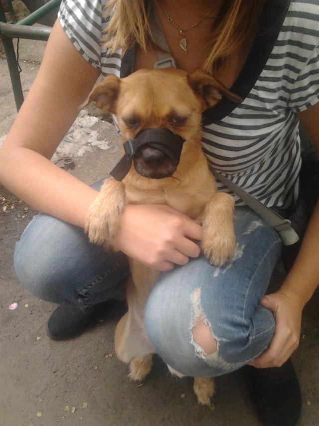 Wpis tiruuriruxd