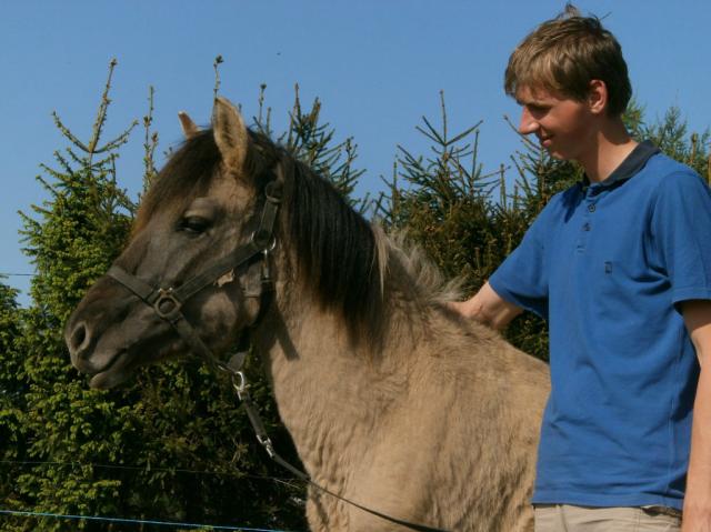 Wpis foresthorse