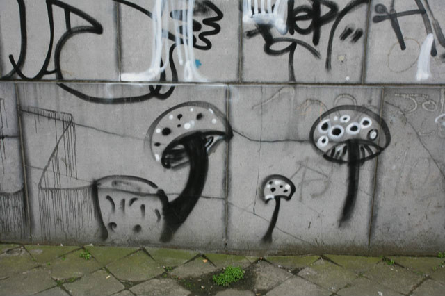 Wpis februaryrain