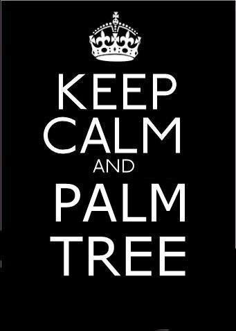 keep calm and palm tree