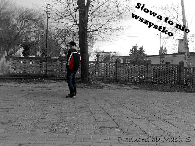 Sowa to nie wszystko
