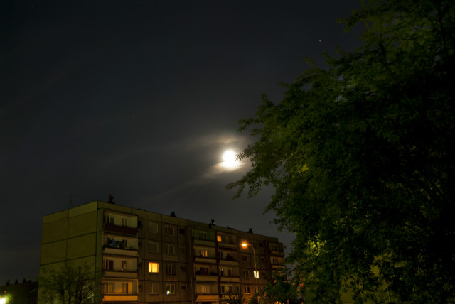 Wpis hikamarephotos