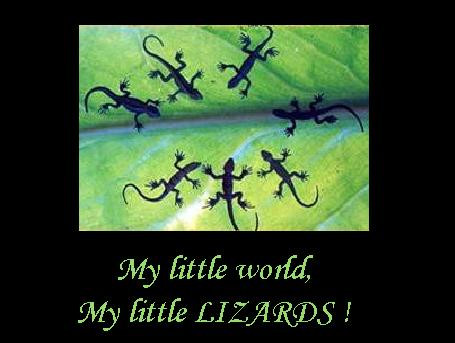 My little LOVE 