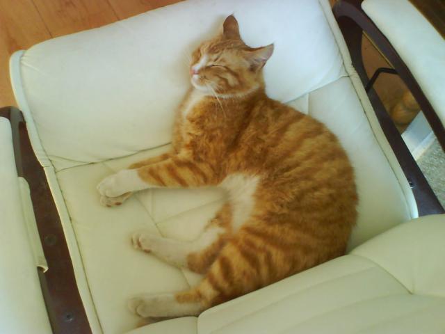 Wpis malinowyszalx3