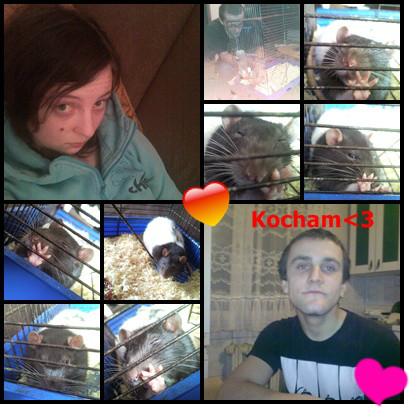 KOCHAM