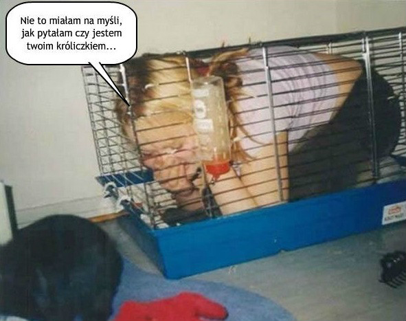 krliczekk ;D