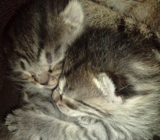 moje ;*