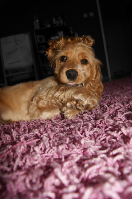 Molly :)