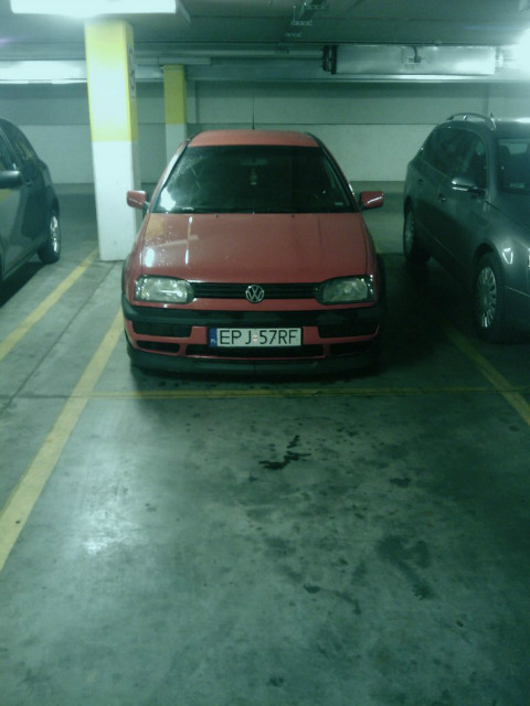 golfina .