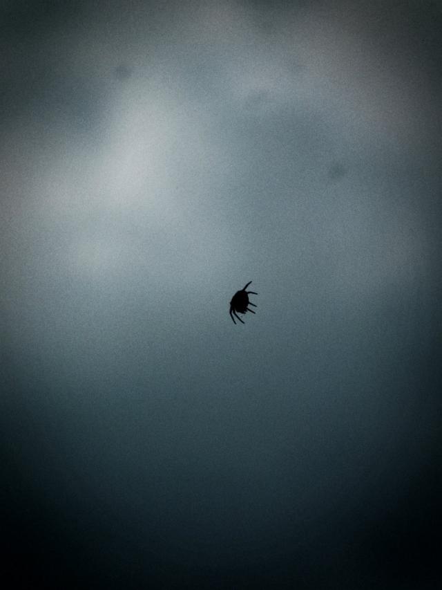 131.