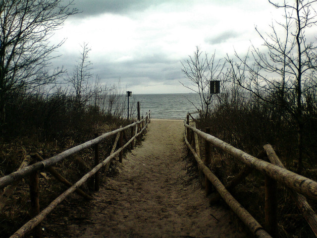 Wpis javalon