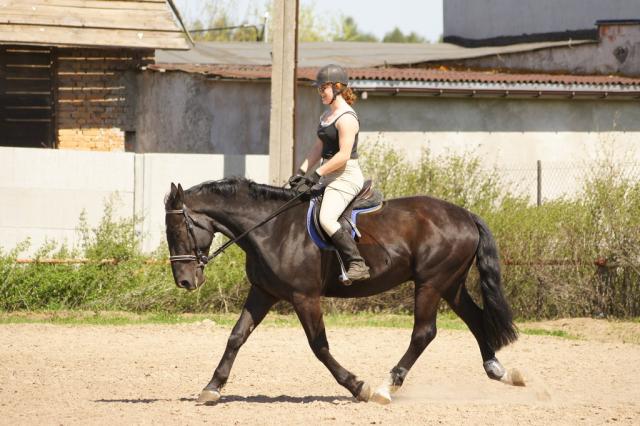 Wpis muchaniekuca
