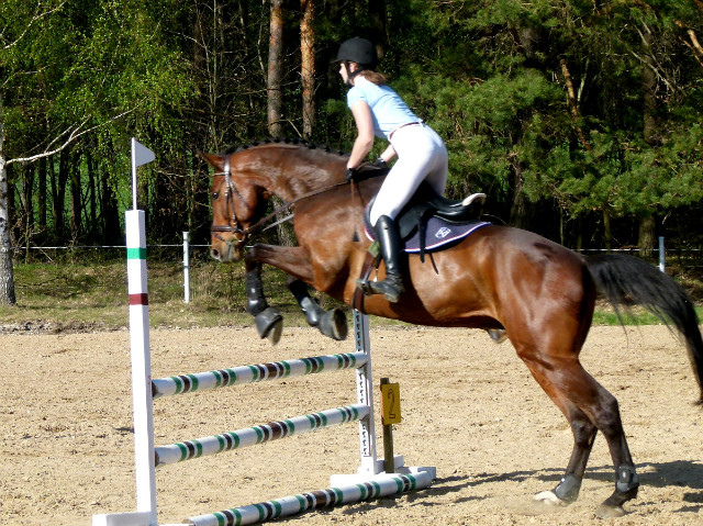 Bamber-Loxley 