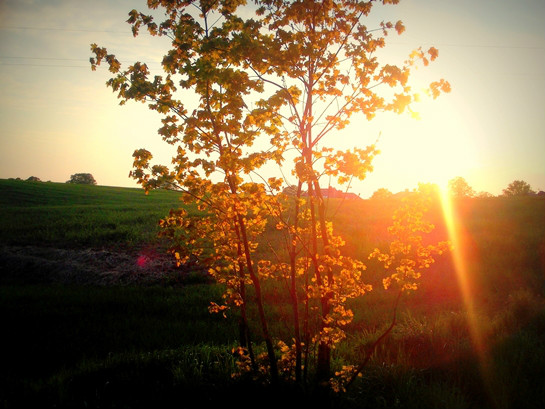 Widok z okna !:D