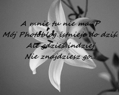 Wpis anusiakowska
