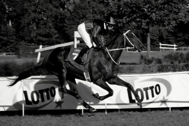 Wpis horseracing