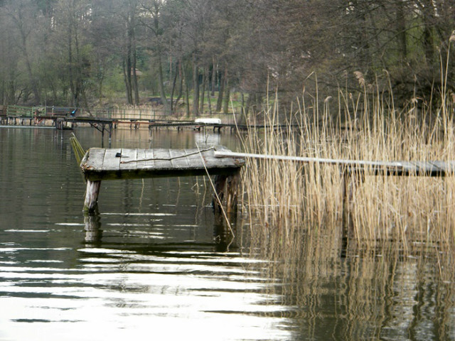 STEG...