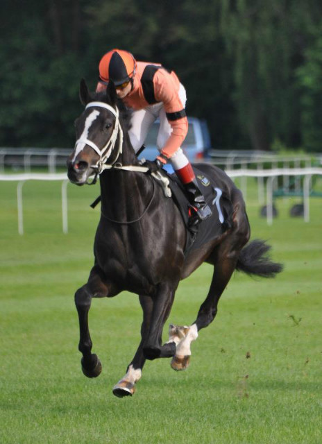 Wpis horseracing