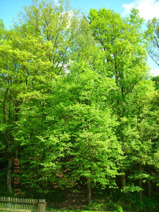 Wpis ania09115