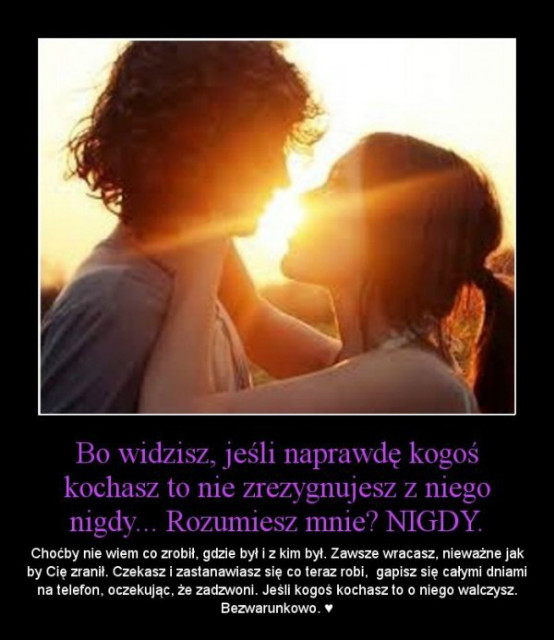 Wpis hunden